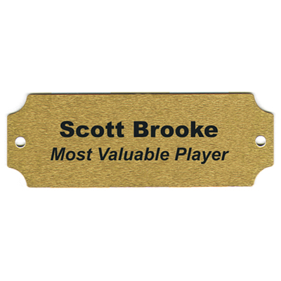 Satin Plate (Brass & Silver) Satin Plate (Brass & Silver)