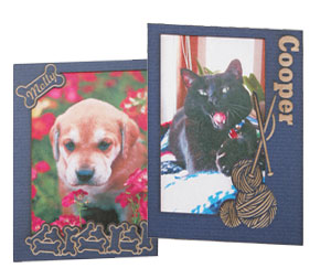 Custom Mat Board Frames Custom Mat Board Frames